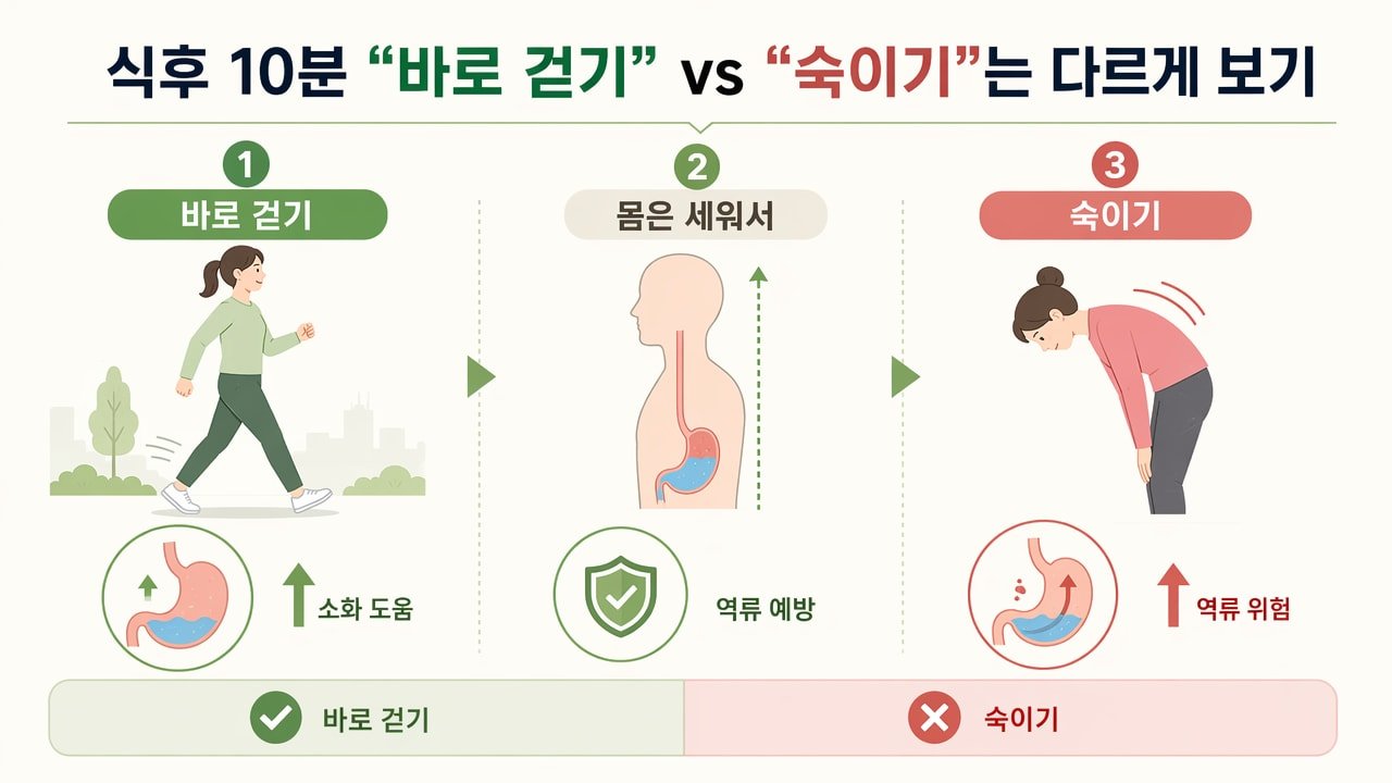 식후 10분 “바로 걷기” vs “숙이기”는 다르게 보기