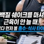 단백질 쉐이크를 마셔도 근육이 안 늘 때, ‘용량’보다 먼저 볼 흡수·식사 타이밍 5가지
