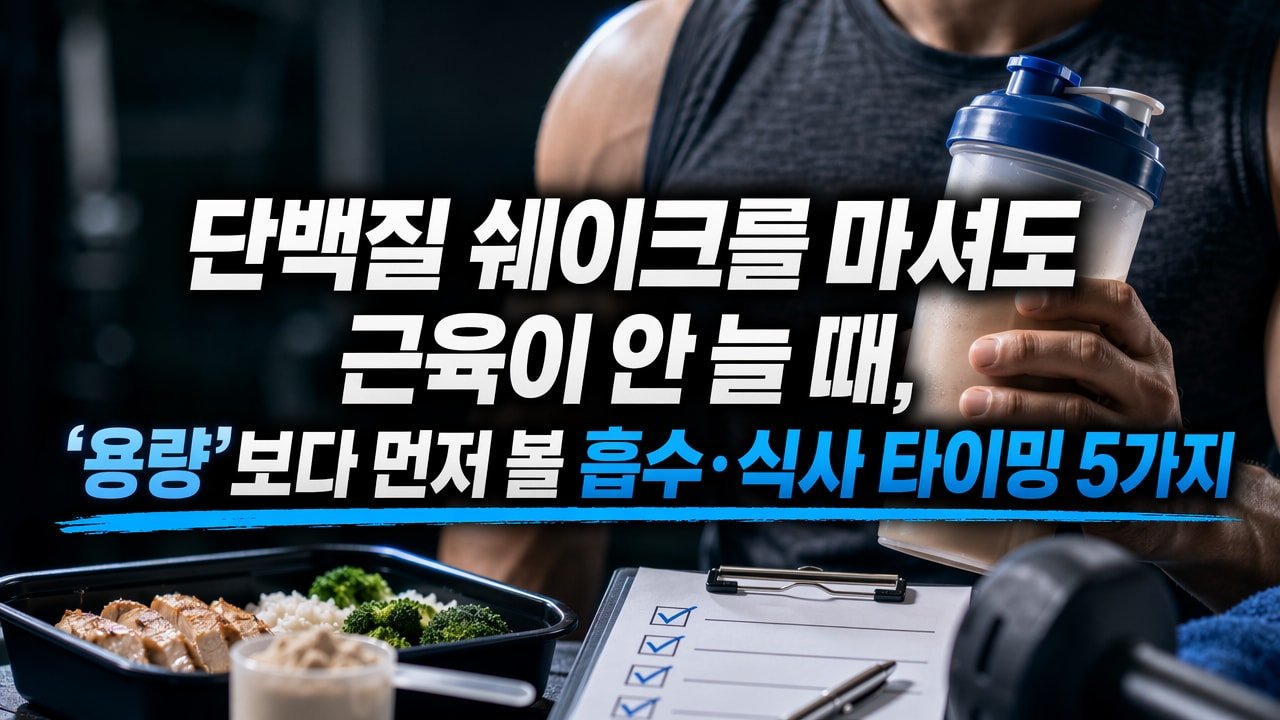 단백질 쉐이크를 마셔도 근육이 안 늘 때, ‘용량’보다 먼저 볼 흡수·식사 타이밍 5가지