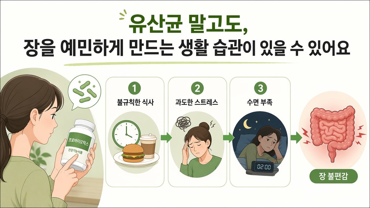 유산균 말고도, 장을 예민하게 만드는 생활 습관이 있을 수 있어요