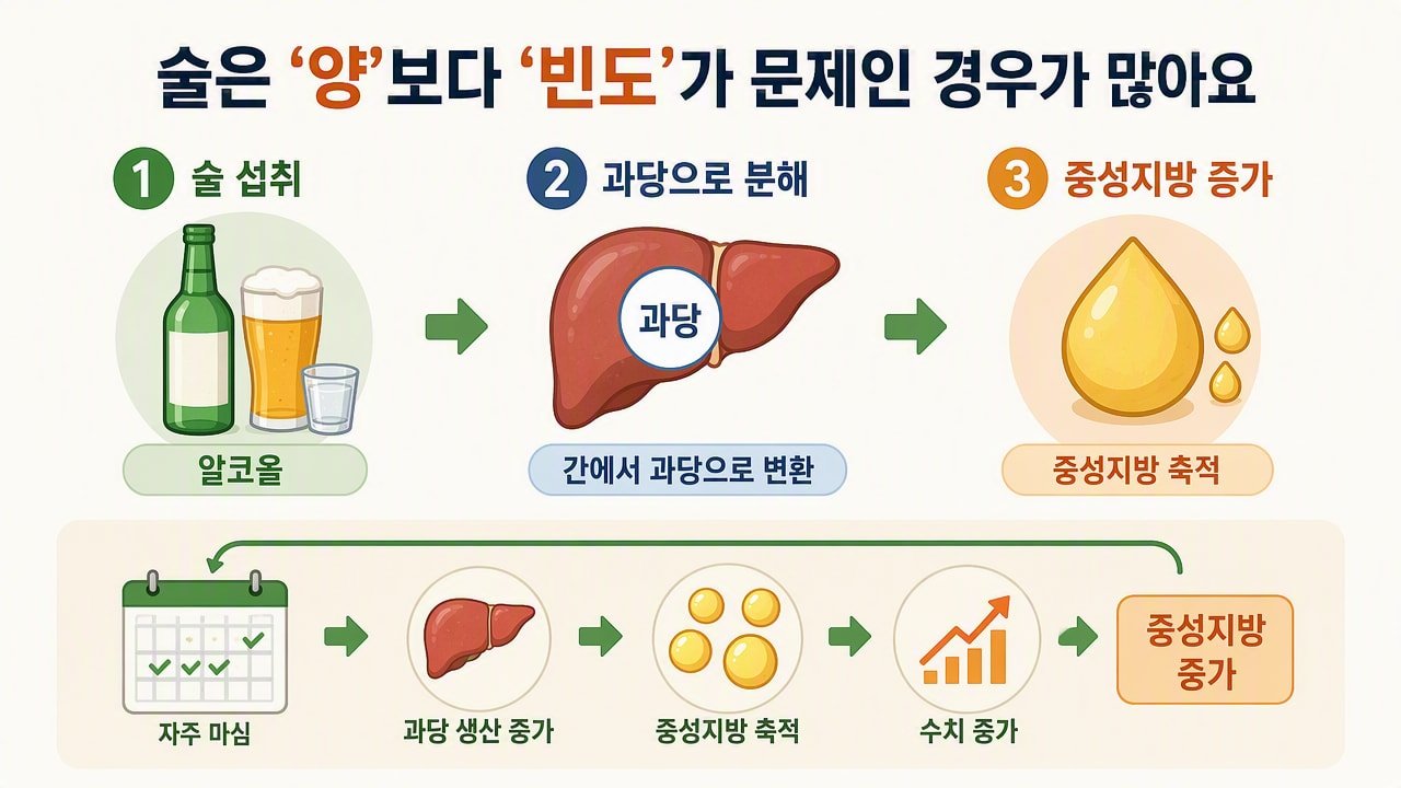 술은 ‘양’보다 ‘빈도’가 문제인 경우가 많아요