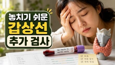 갑상선 검사 TSH 정상인데도 피곤하다면, 함께 확인해야 할 수치와 증상