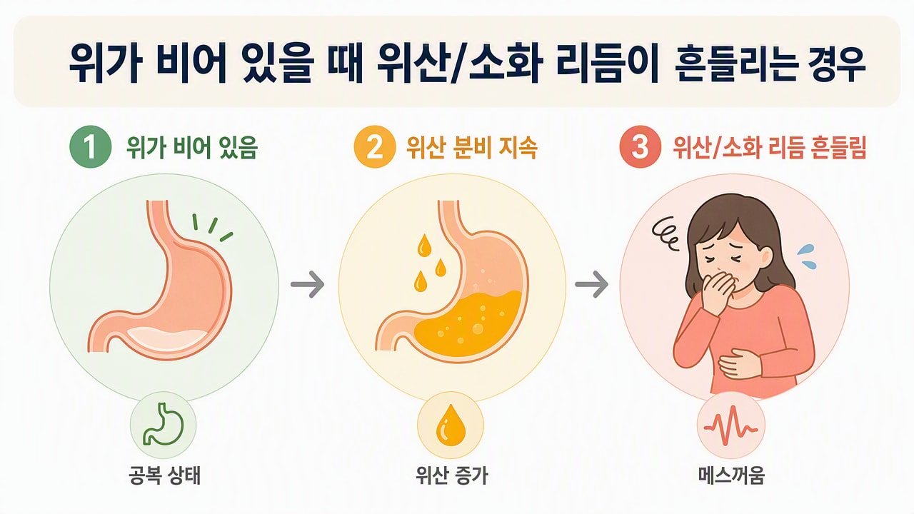 위가 비어 있을 때 위산/소화 리듬이 흔들리는 경우